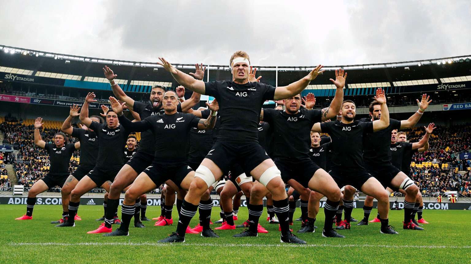 All Blacks Fixtures 2024 Full Schedule & Results NZ Rugby