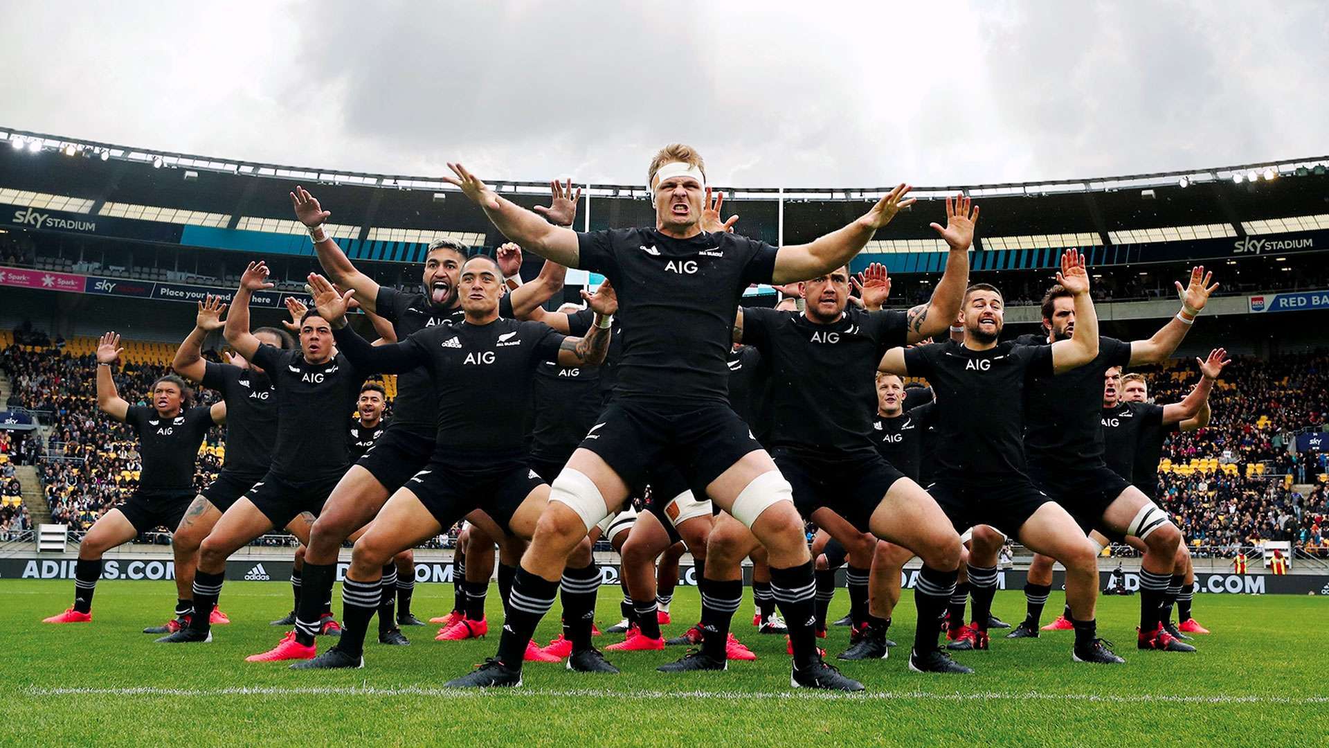 All Blacks Fixtures 2024 A Year of Rugby Excellence Awaits!